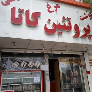 پروتیین کاتا