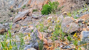 کوه پنج انگشت شهرستان خاش