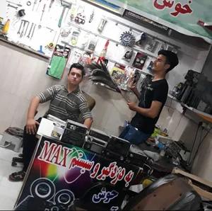 سیستم و دزدگیر max