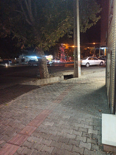 نمایندگی بیمه دی