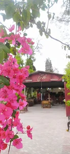 Cafe toranj