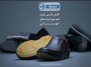 کفش نوبل