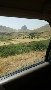 شرکت کمباین سازی ایران نمایندگی حاجی