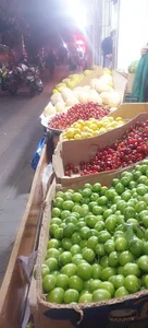 میوه فروشی کردستان