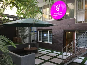 کلینیک دامپزشکی ارغوان