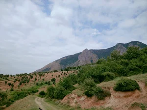 چمازگی