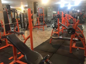 331 gym