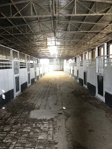 باشگاه سوارکاری باراژ