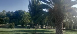 پارک شقایق 5