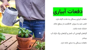 جایاگرین