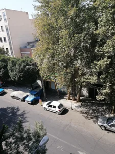فلافل کیلویی میخکوب 2