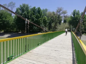 پل منبت ناژوان 5