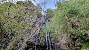 چشمه نارون