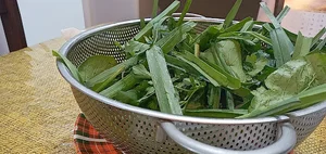 مدرسه غیر انتفاعی مهددانش
