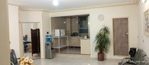 دکتر محمدرضا تورانی