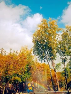 پارک موسیقی سپیدار 5