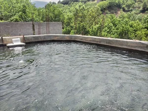 مزرعه پرورش ماهی قزل آلا
