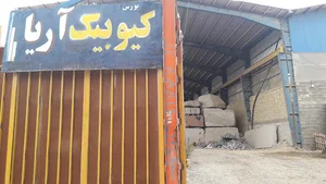 سنگبری آسیا