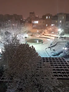 بوستان گلگون