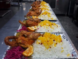 غذای الینا
