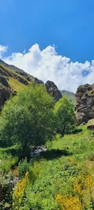 دربند آلوارس