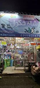 پت شاپ شاه فکول