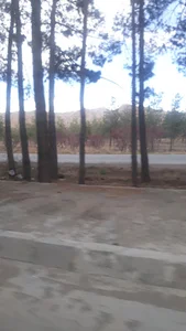 میدان سیمان سپاهان