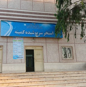 استخرکمینه