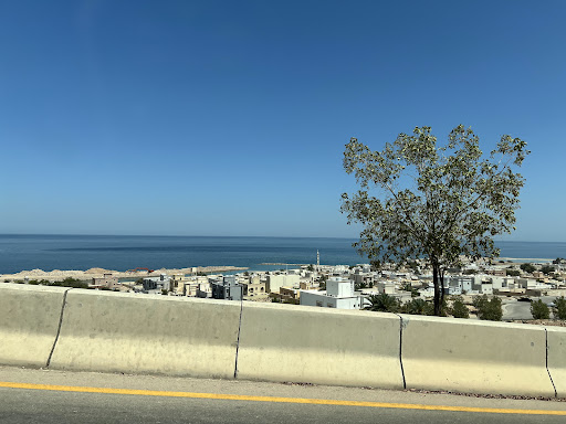 مجلس طيوي العام