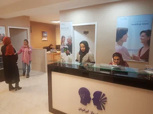 گروه شنوایی و تعادل ایرانیان