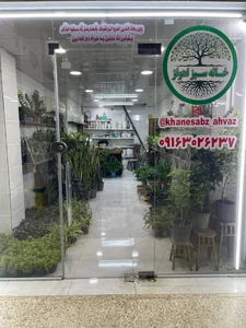 گلخانه خانه سبز اهواز