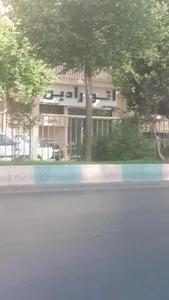 اتو رادین