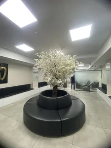 کلینیک دندانپزشکی تخصصی درمان ریشه تهران