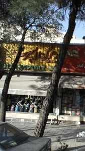 دیزین اسپرت