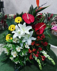 گلسرای کاکتوس ایذه