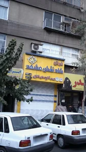 فرش شاد نقش مشهد 2