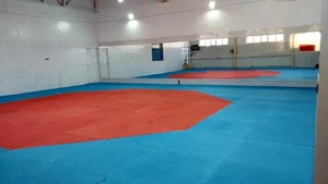 باشگاه ورزشی آترین 2