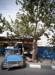 میوه فروشی 2