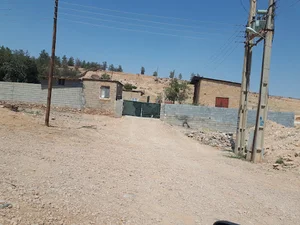 مرغداری احمدعلی ضریفی