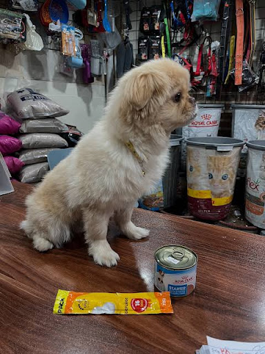 پت شاپ ظفر pet shop zafar
