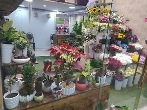 گلفروشی مهدی