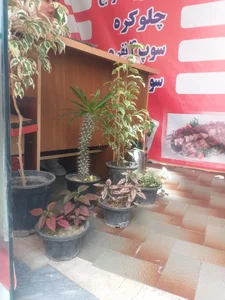 غذای آماده ننه خاتون 4
