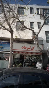 گل تشریفات فلوریست 4