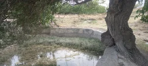 قنات سرکفیل