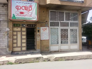 گزینه دو