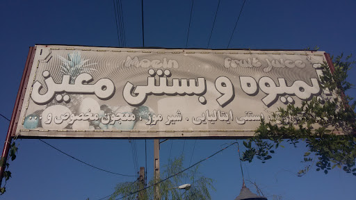 آبمیوه بستنی معین