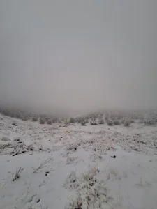 پارک کوهستان 5