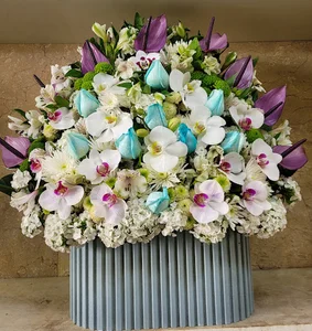 گل زنبق طلایی