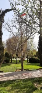 بوستان لاله