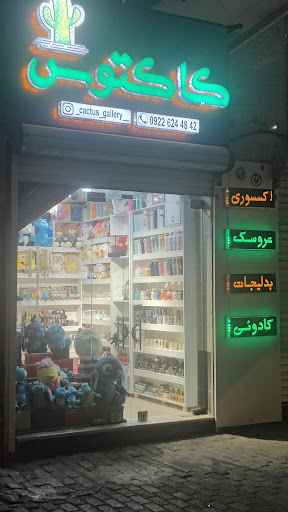گالری کاکتوس